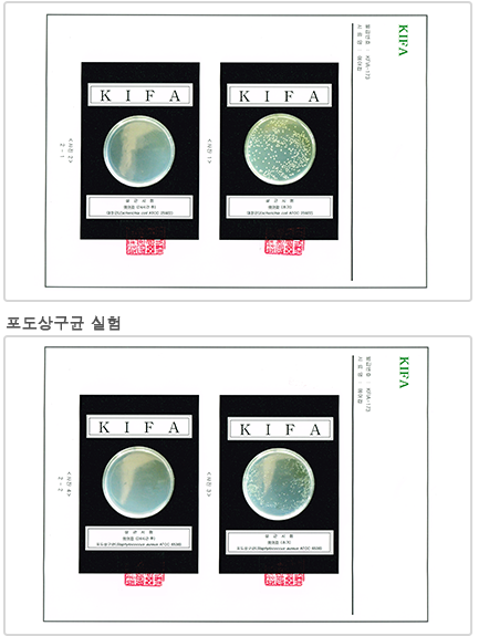 해충기피테스트 사진